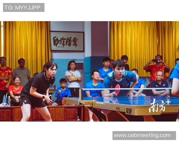 乒乓球运动的魅力与发展探索从国球精神到全民健身新时代 乒乓球运动的魅力与发展探索从国球精神到全民健身新时代