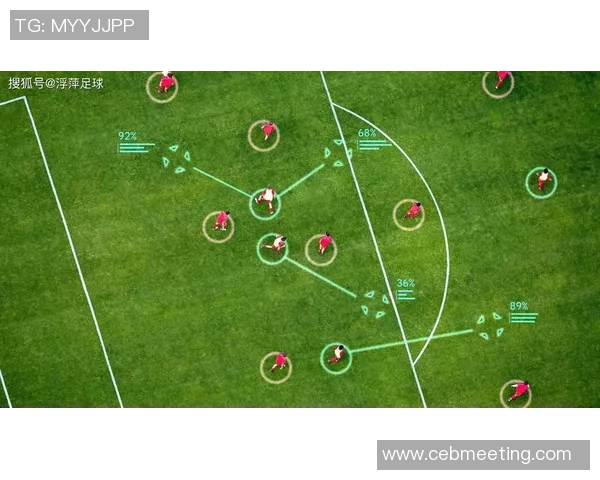 全方位解读足球世界：从历史到战术，透视足球运动的魅力