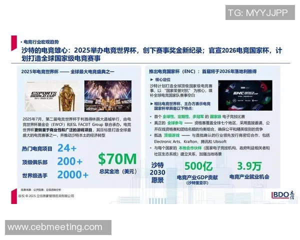 全球电竞产业崛起推动青年文化创新与数字娱乐经济融合发展