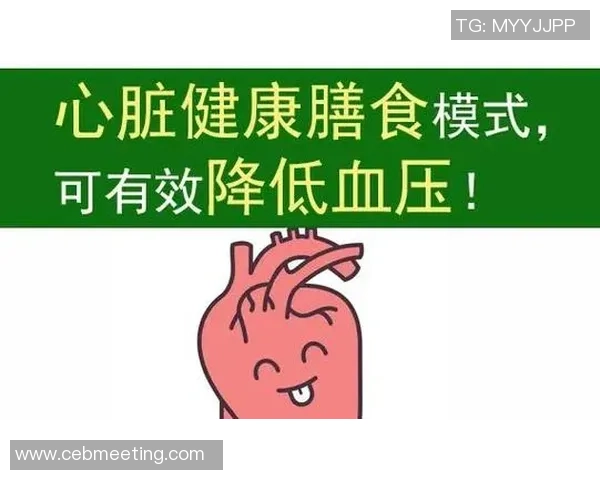 打造高效健身生活方式全面提升体能与身心健康的科学指南